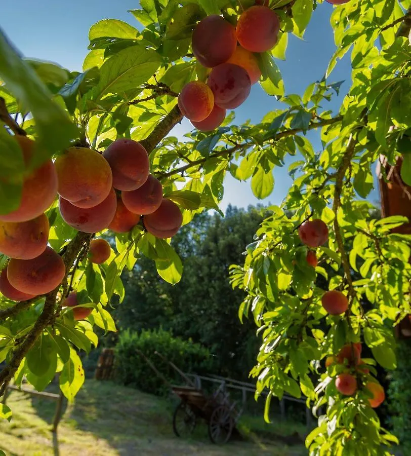 Farm stay Agriturismo Alle Rose Villa Volterra