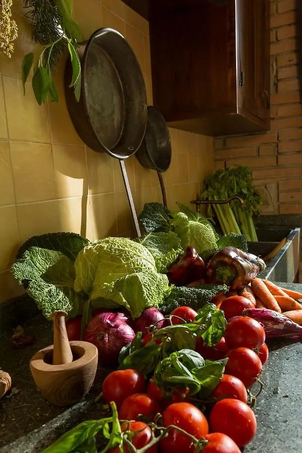 Agriturismo Alle Rose Villa Volterra Italy